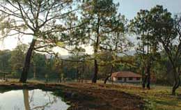naturaleza